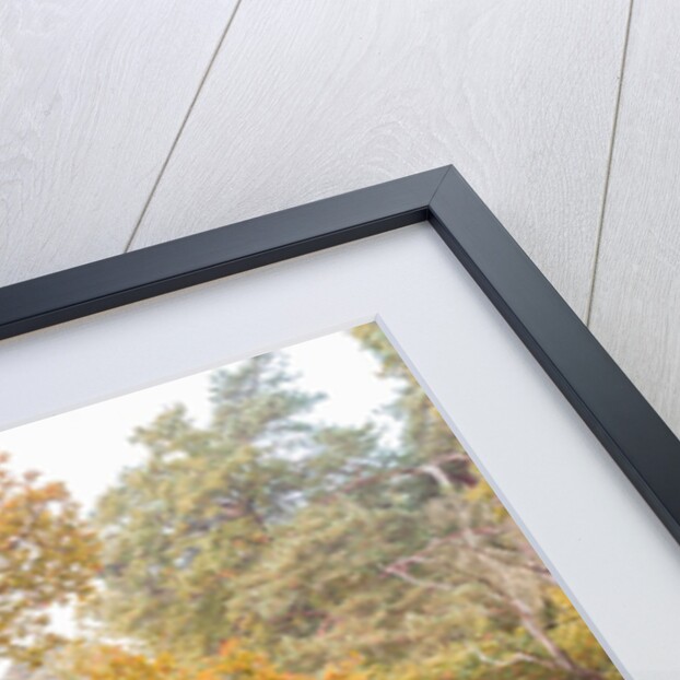 Basingstoke Canal by Assaf Frank